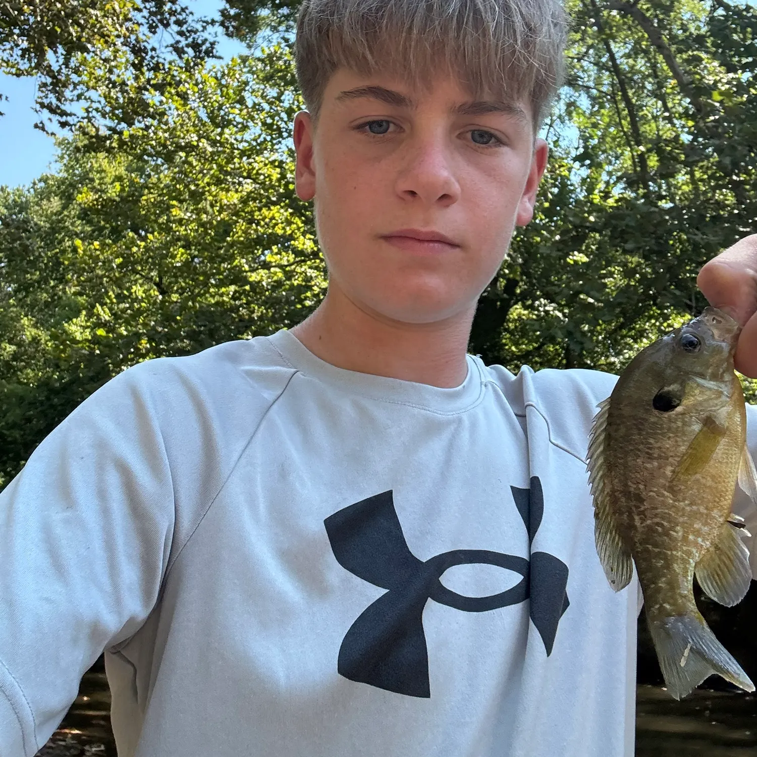 Bluegill caught on Fishbrain