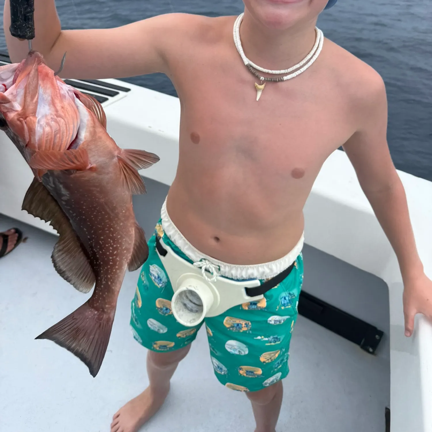 Red grouper caught on Fishbrain
