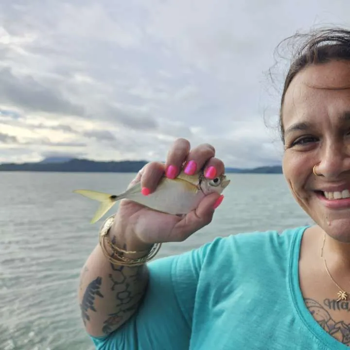 The most recent Atlantic bumper catches on Fishbrain