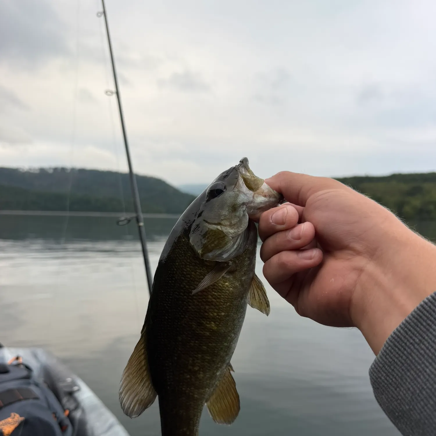 Smallmouth bass caught on Fishbrain