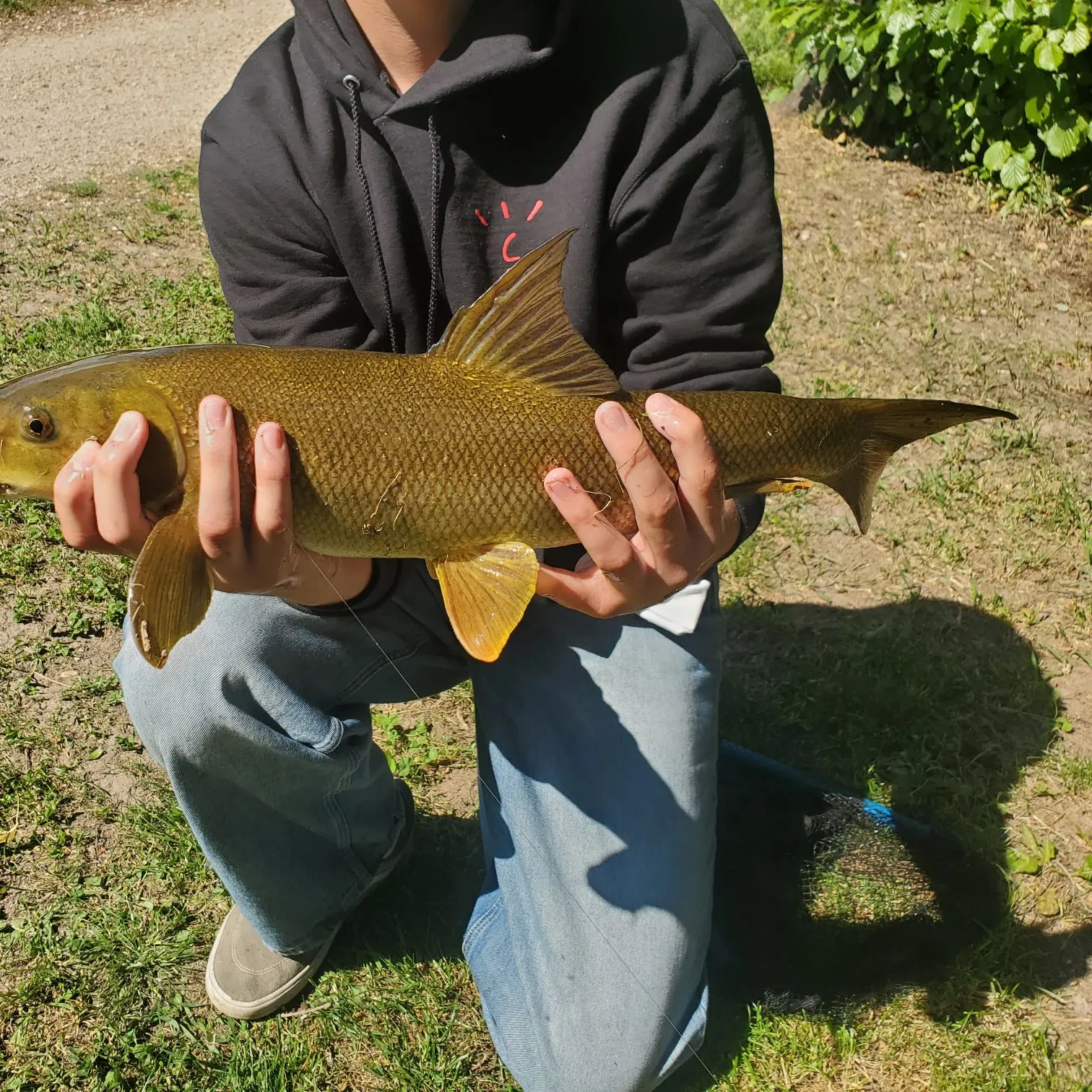 most liked catch image
