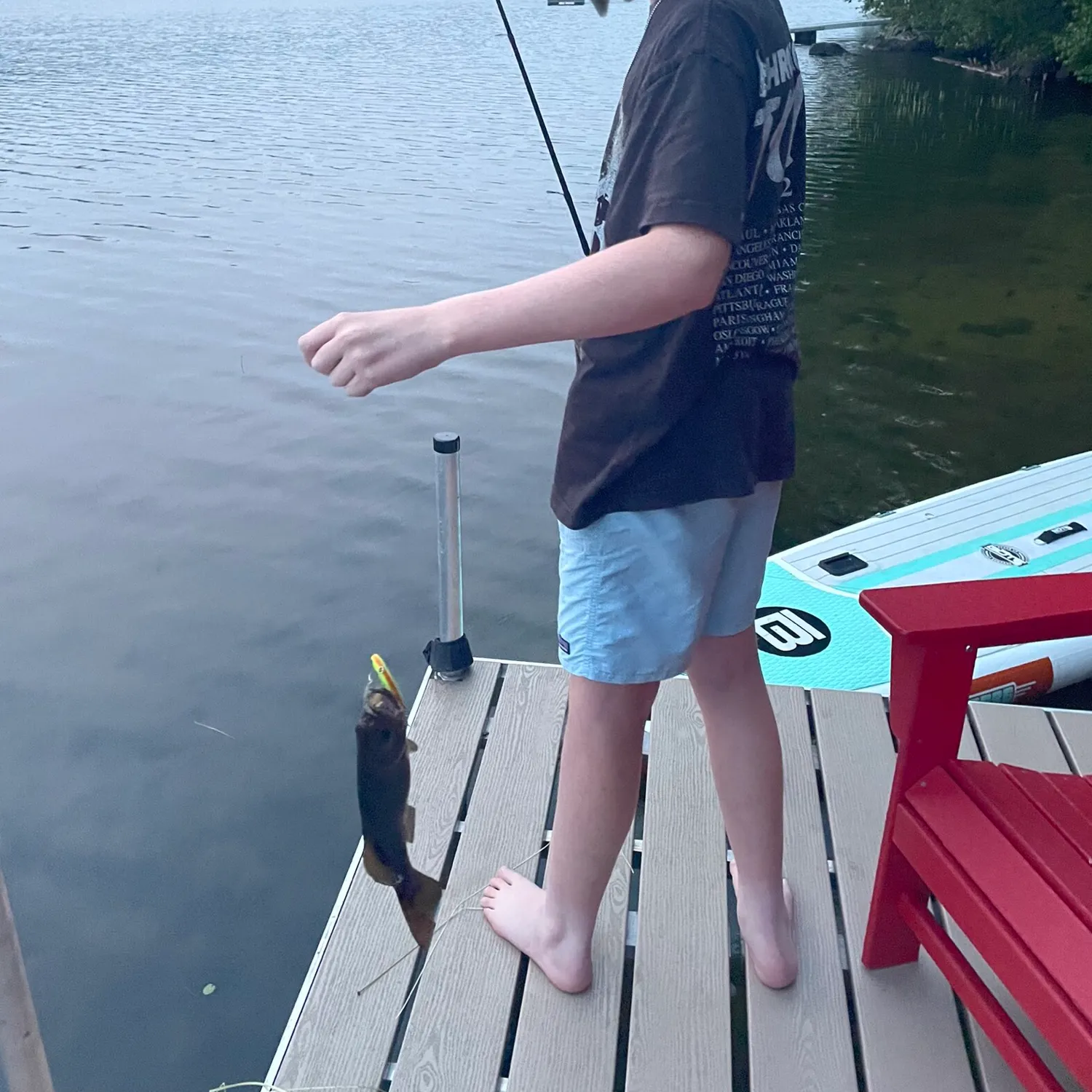 recently logged catches