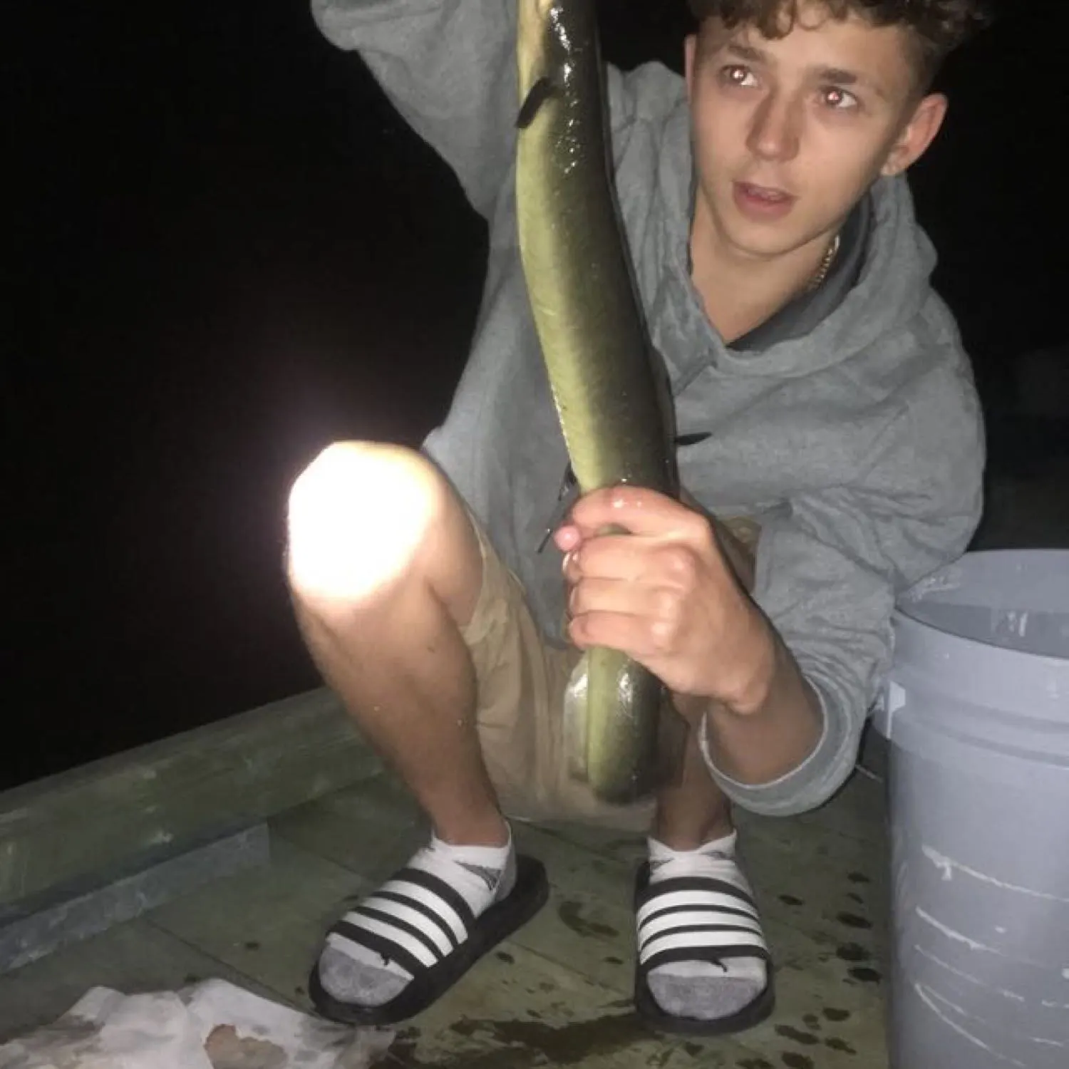 American eel caught on Fishbrain