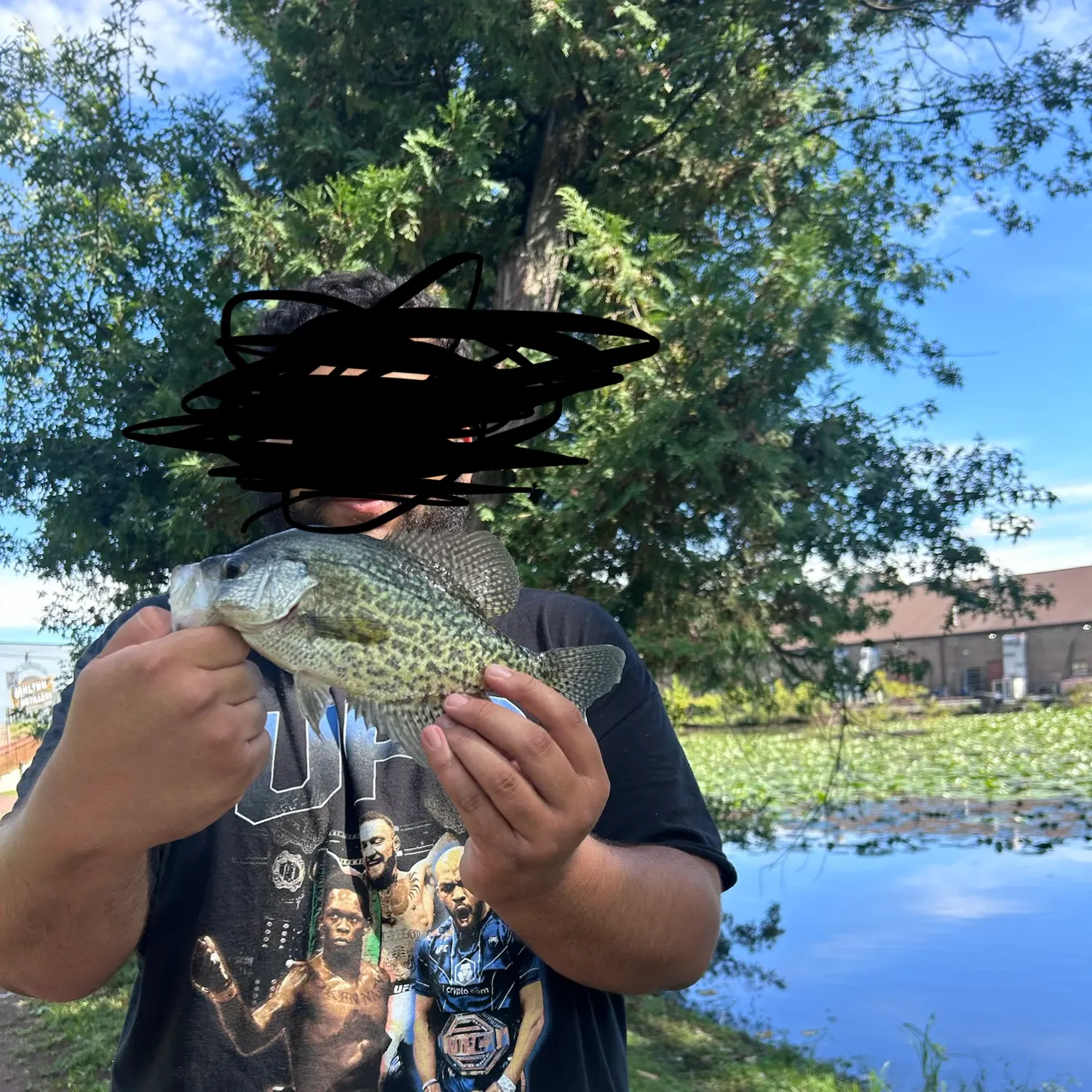 Black crappie caught on Fishbrain