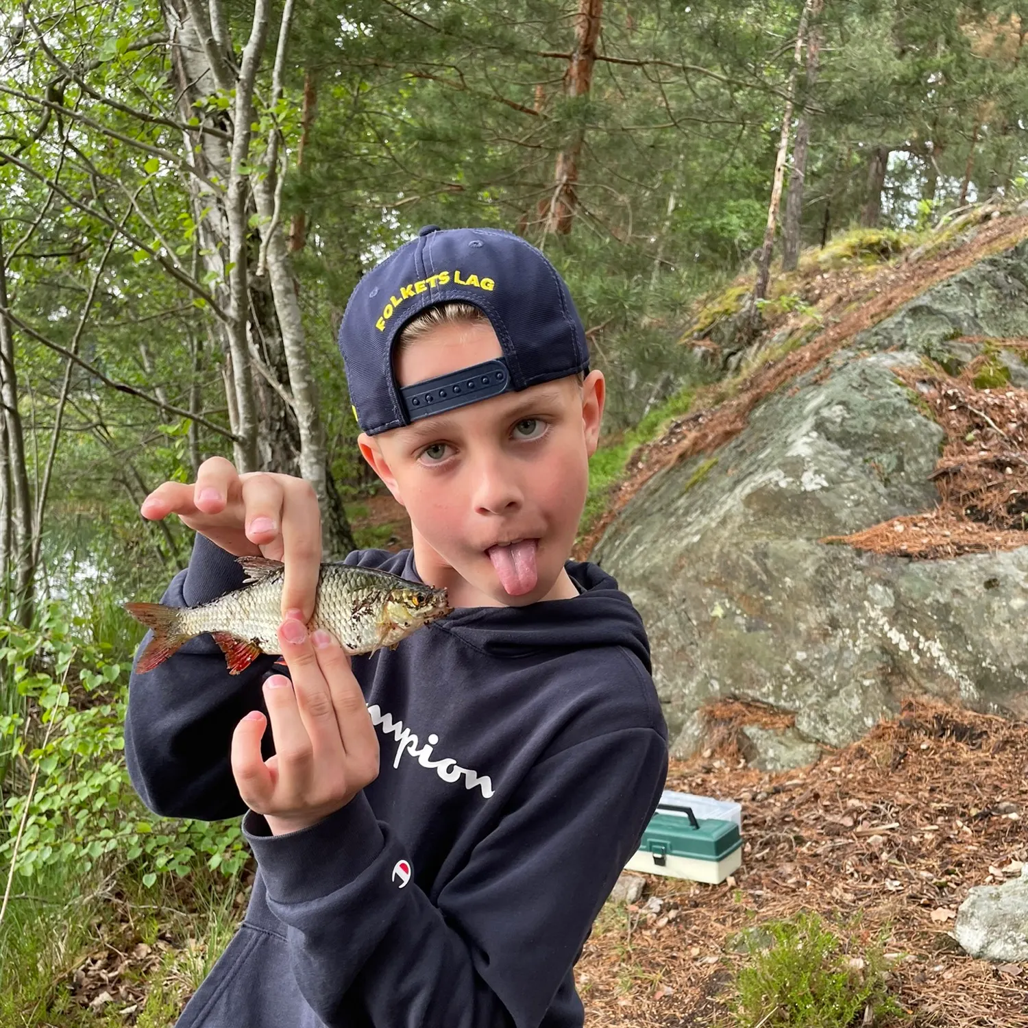 Common rudd caught on Fishbrain