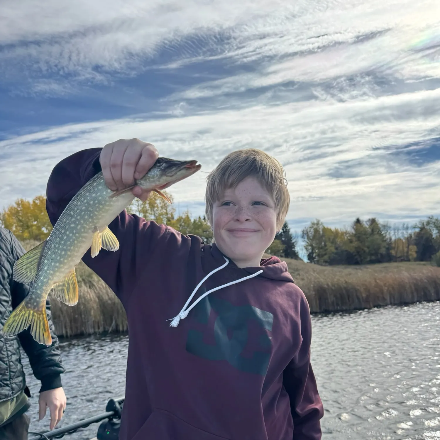 Northern pike caught on Fishbrain
