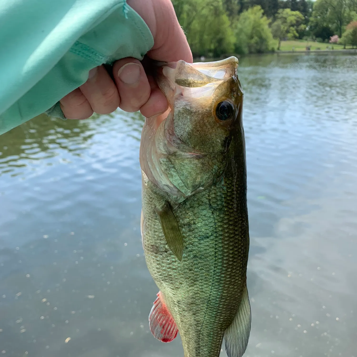 catch