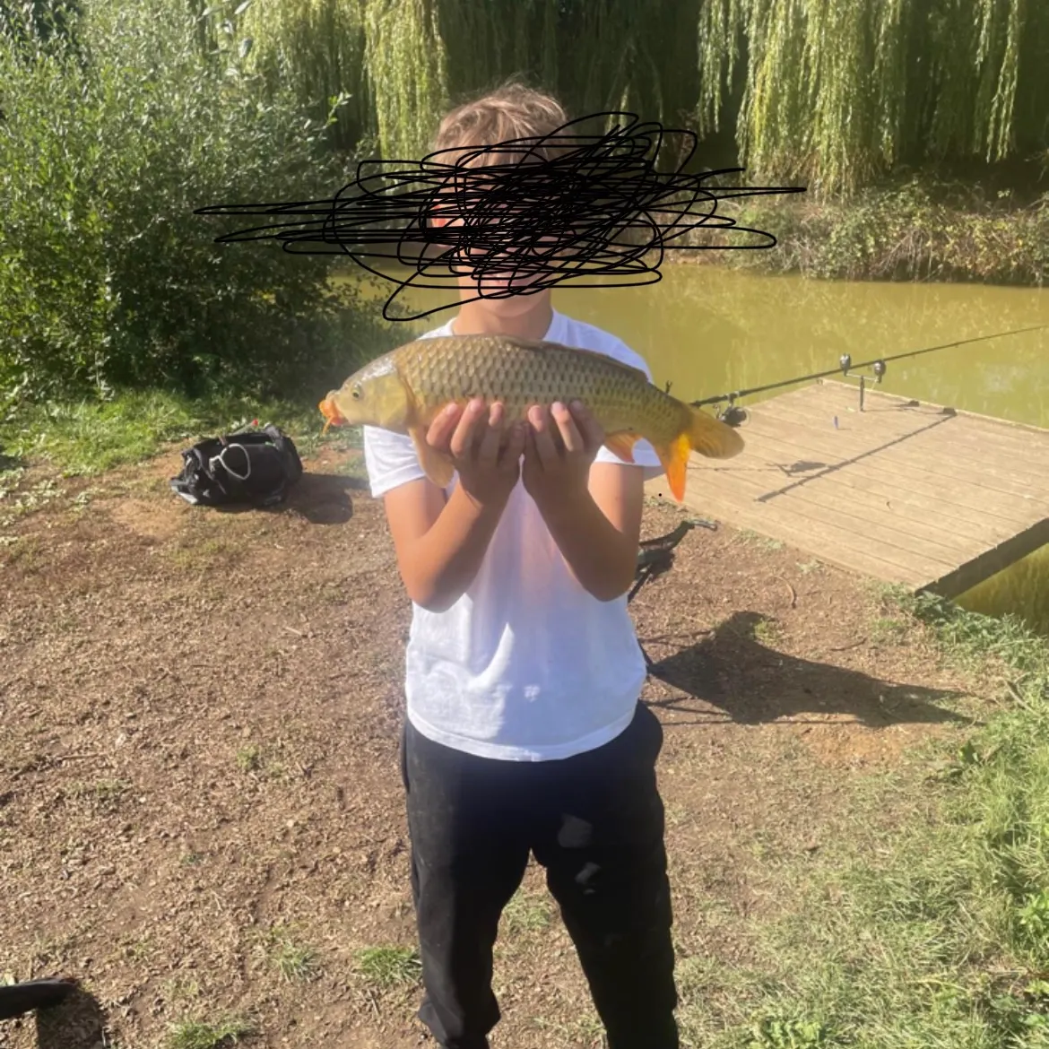 Common carp caught on Fishbrain