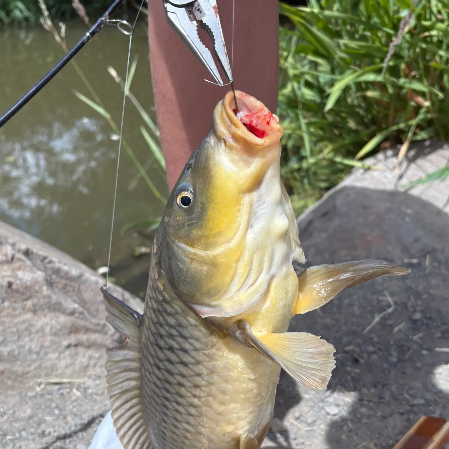 catch