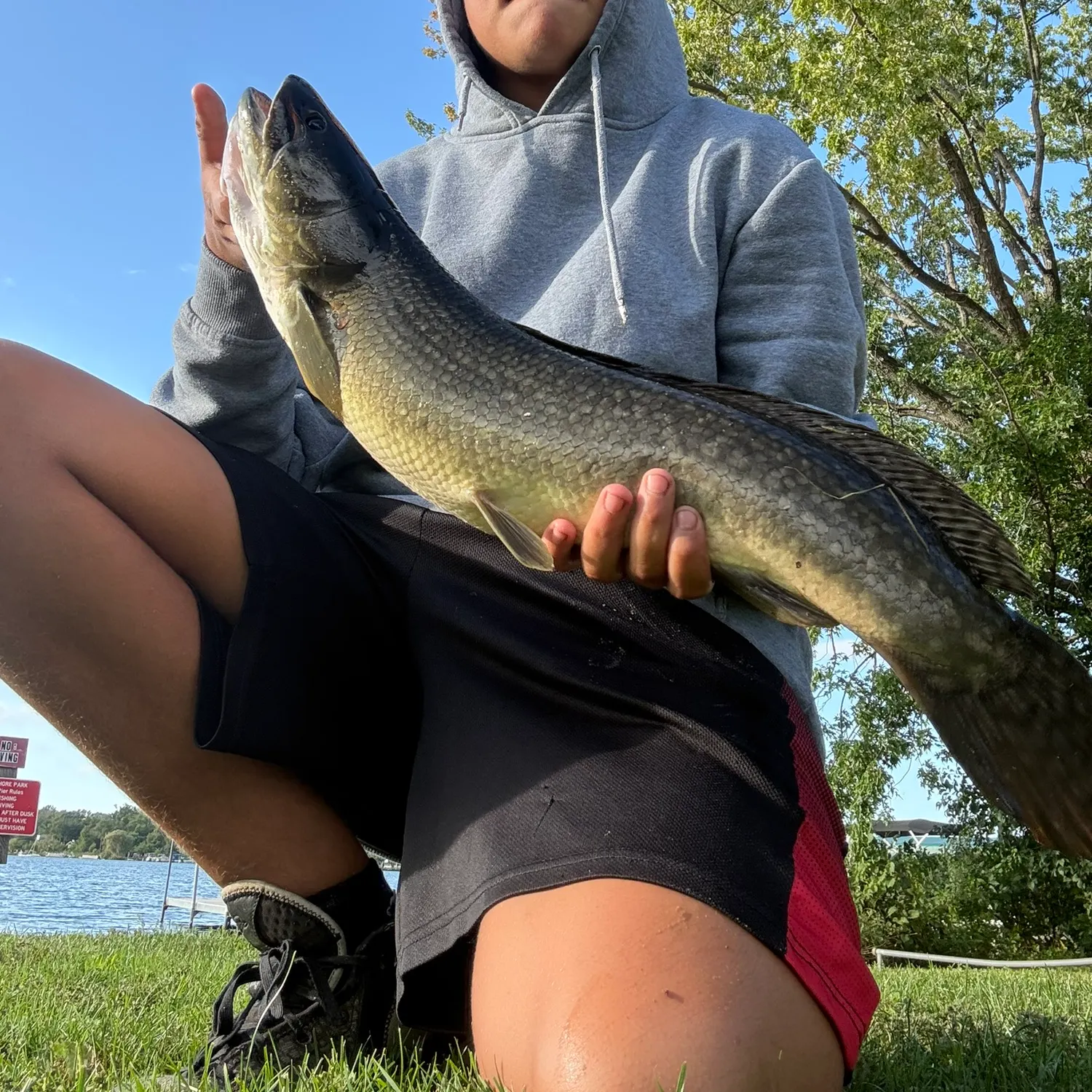 Eyetail bowfin caught on Fishbrain