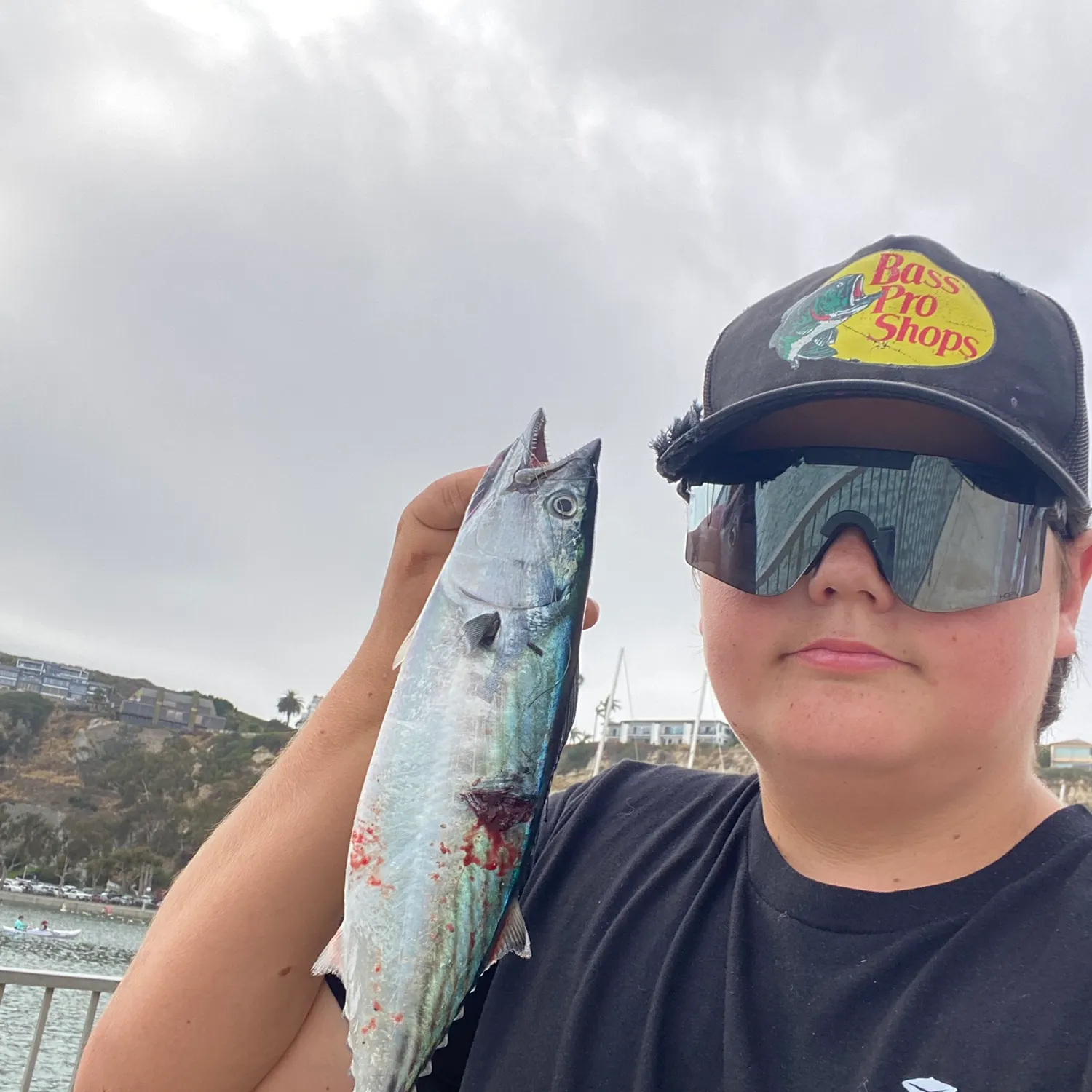 The most recent Striped bonito catches on Fishbrain