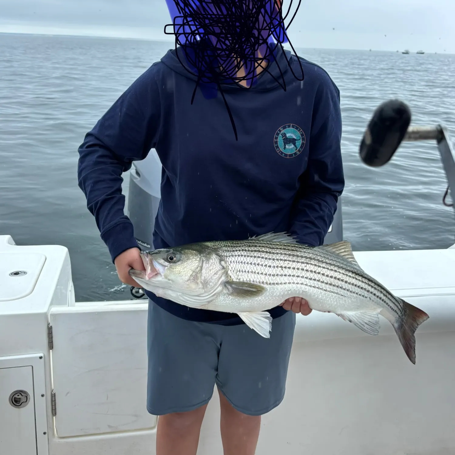 Striped bass caught on Fishbrain