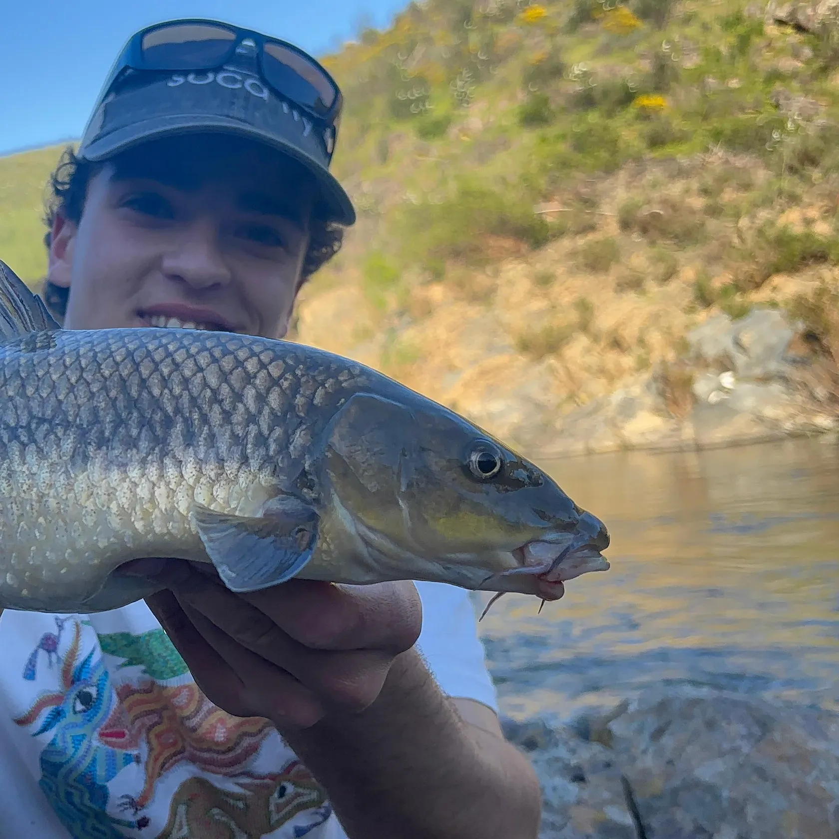The most recent Andalusian barbel catches on Fishbrain