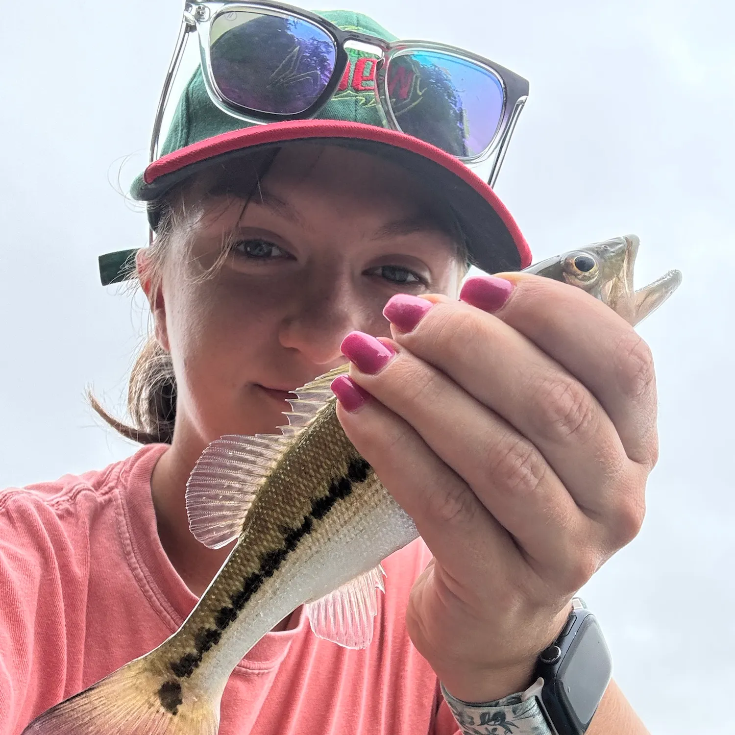 Spotted bass caught on Fishbrain
