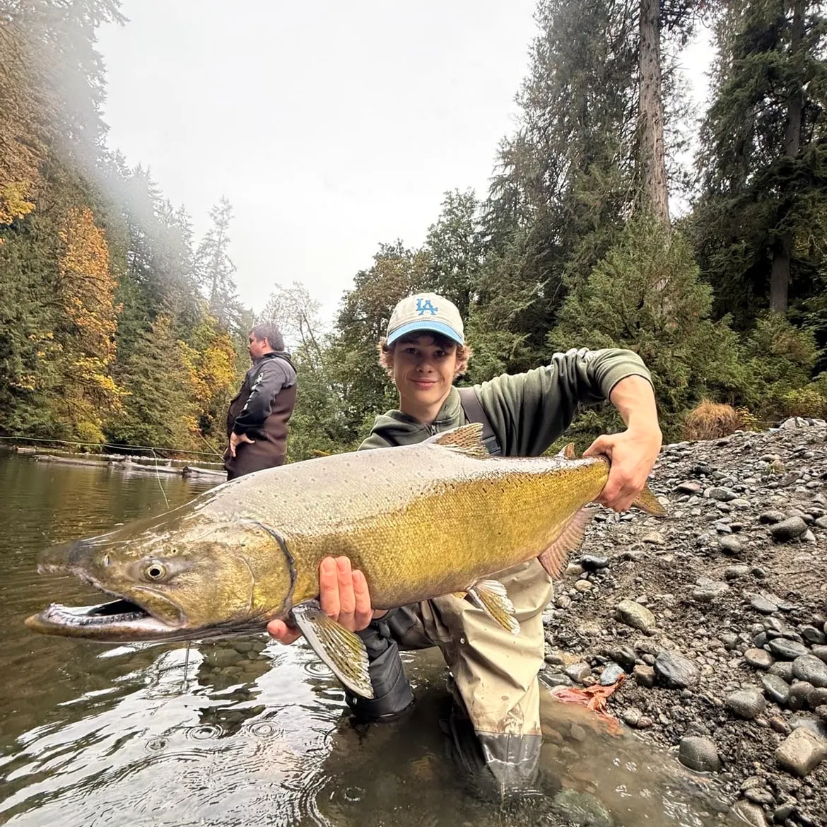 Chinook salmon caught on Fishbrain