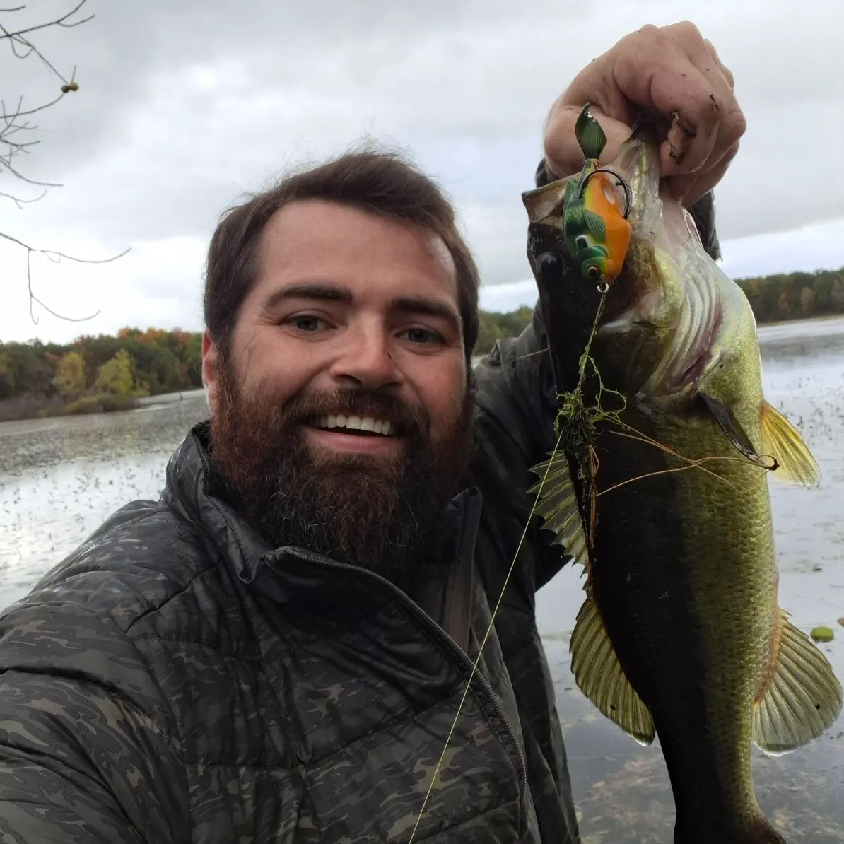 Largemouth bass caught on Fishbrain
