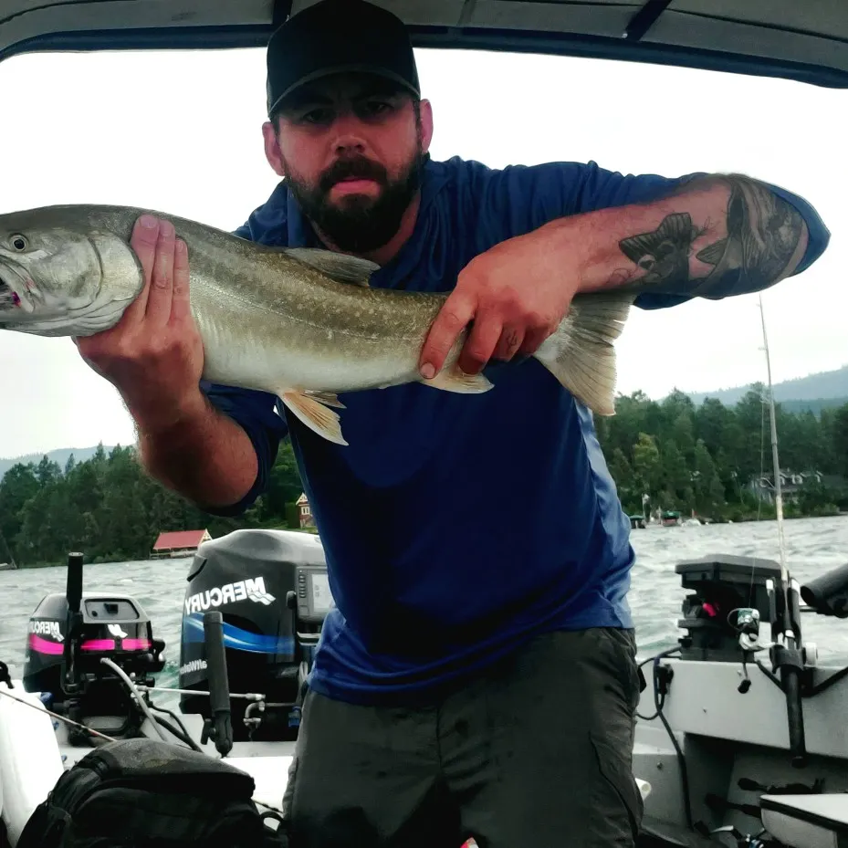 angler catch