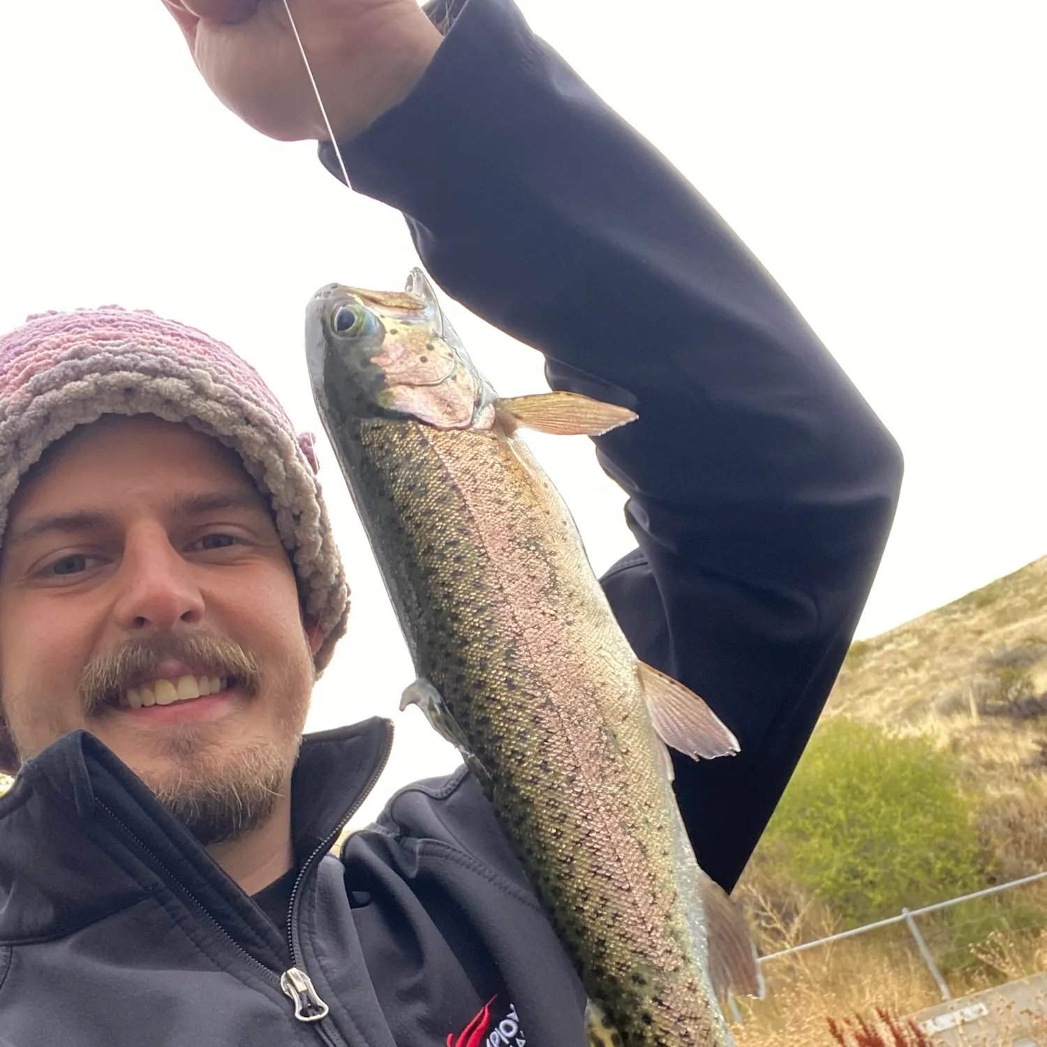 Cutbow caught on Fishbrain