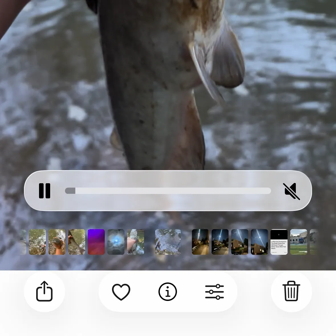 recently logged catches