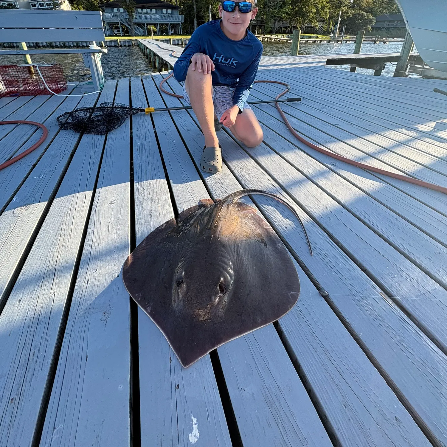 Atlantic stingray caught on Fishbrain