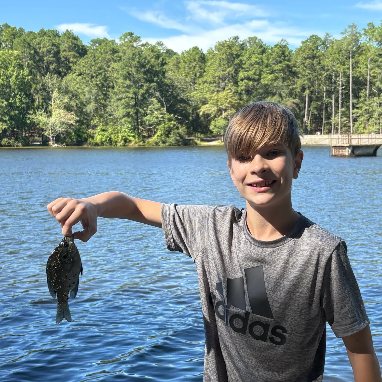 Bluegill caught on Fishbrain