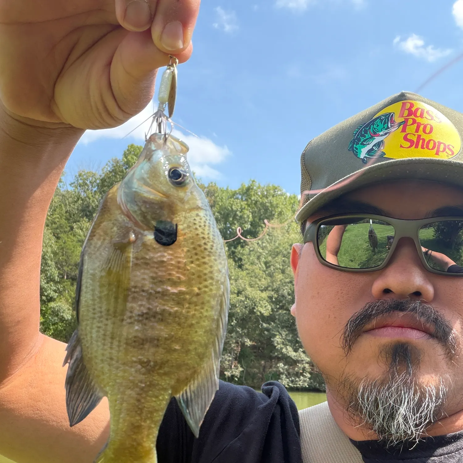 Bluegill caught on Fishbrain