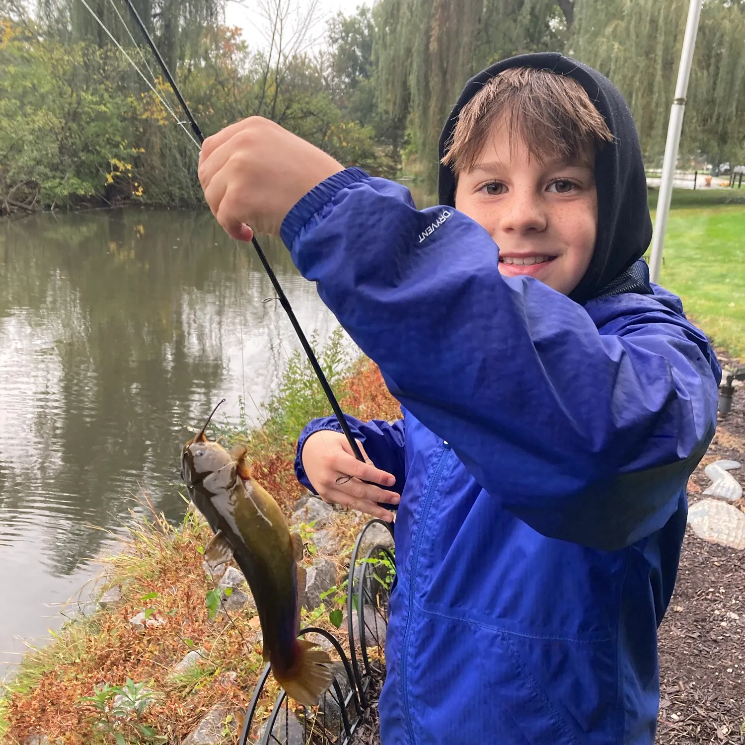 Yellow bullhead caught on Fishbrain