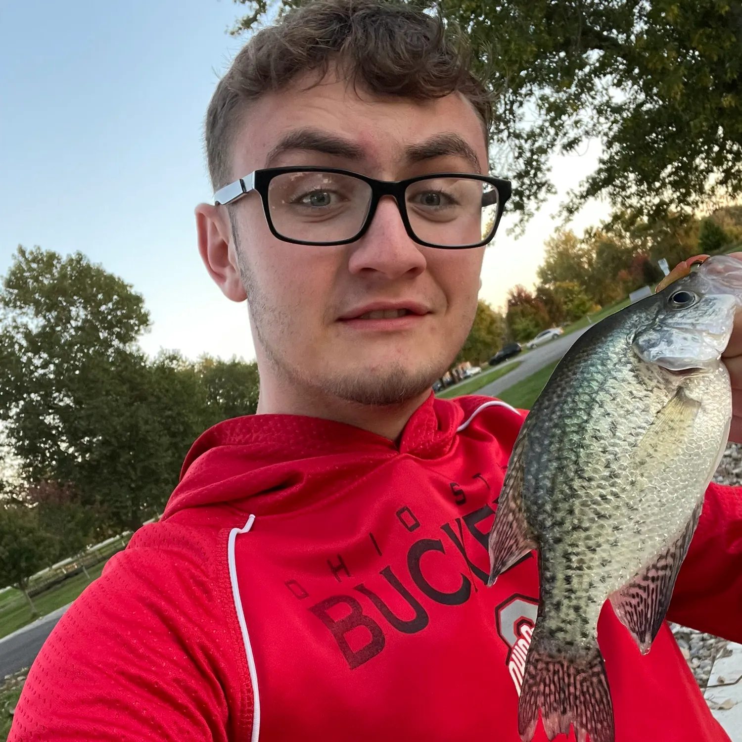 Black crappie caught on Fishbrain