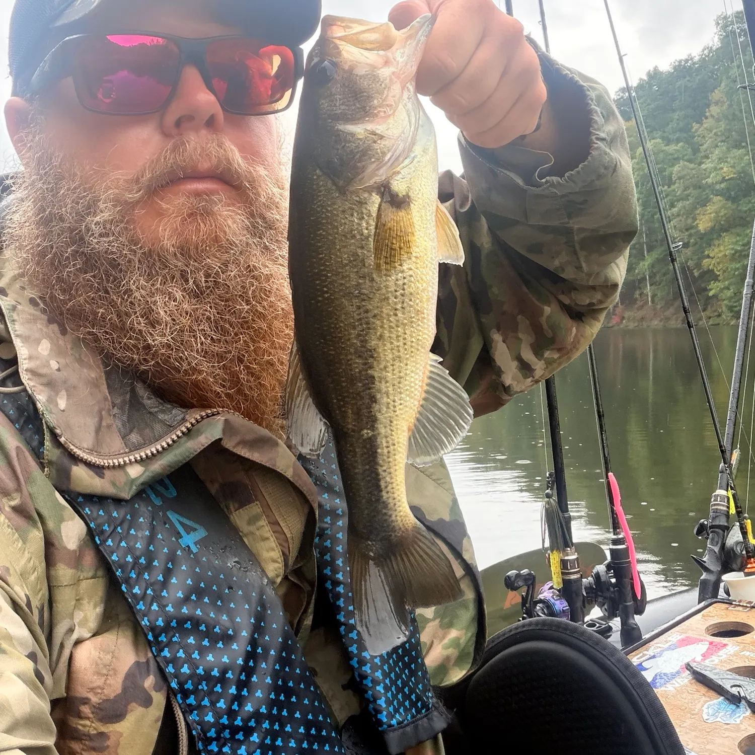 Largemouth bass caught on Fishbrain
