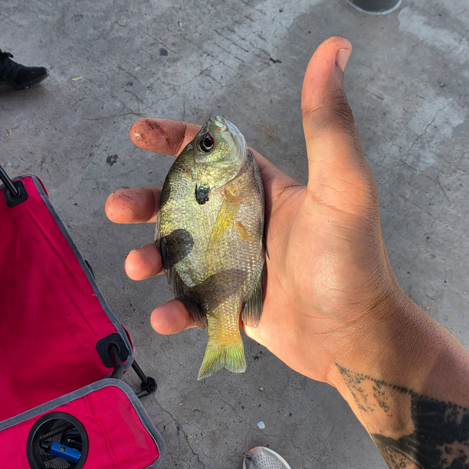 catch