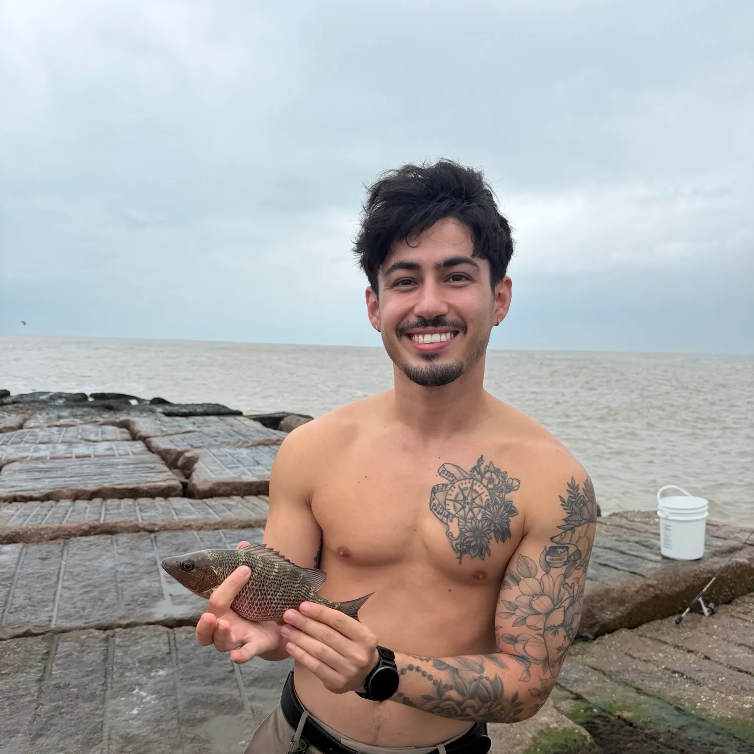 Mangrove snapper caught on Fishbrain
