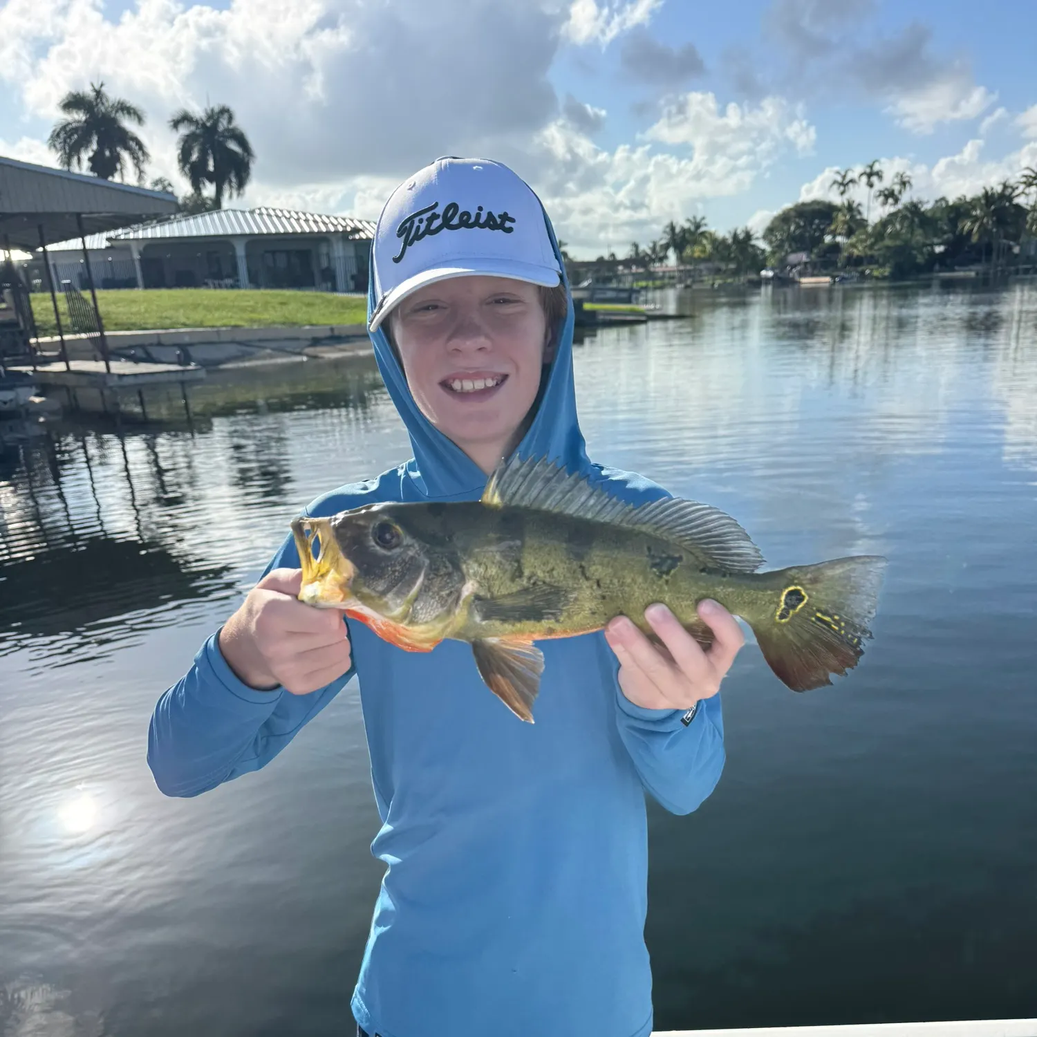 The most recent Butterfly peacock bass catches on Fishbrain