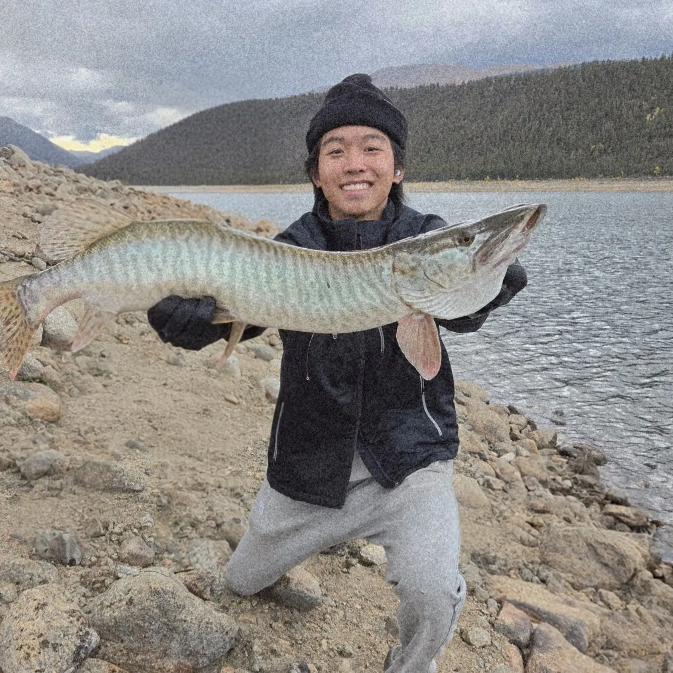 The most recent Tiger muskie catches on Fishbrain