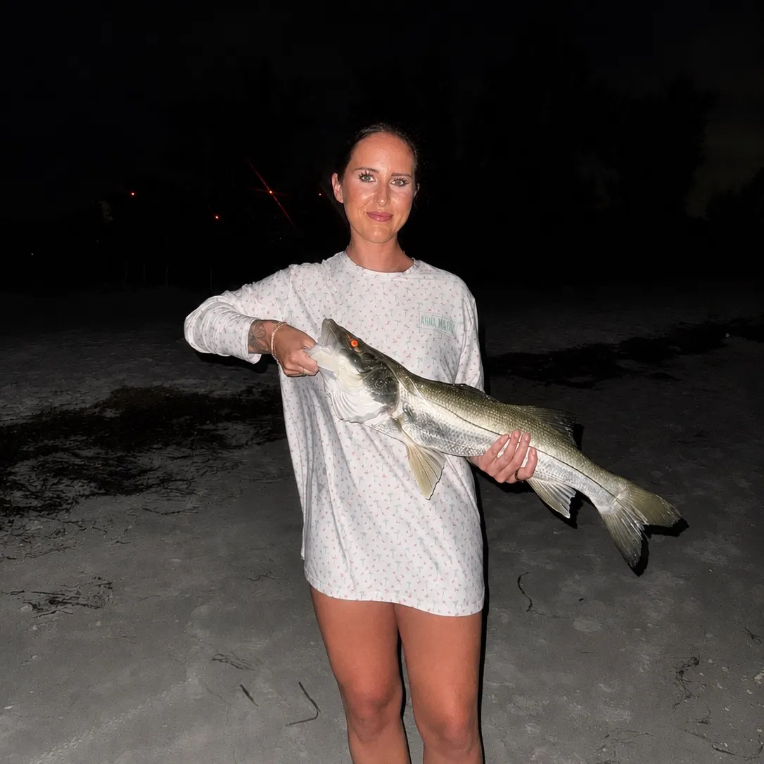 Common snook caught on Fishbrain