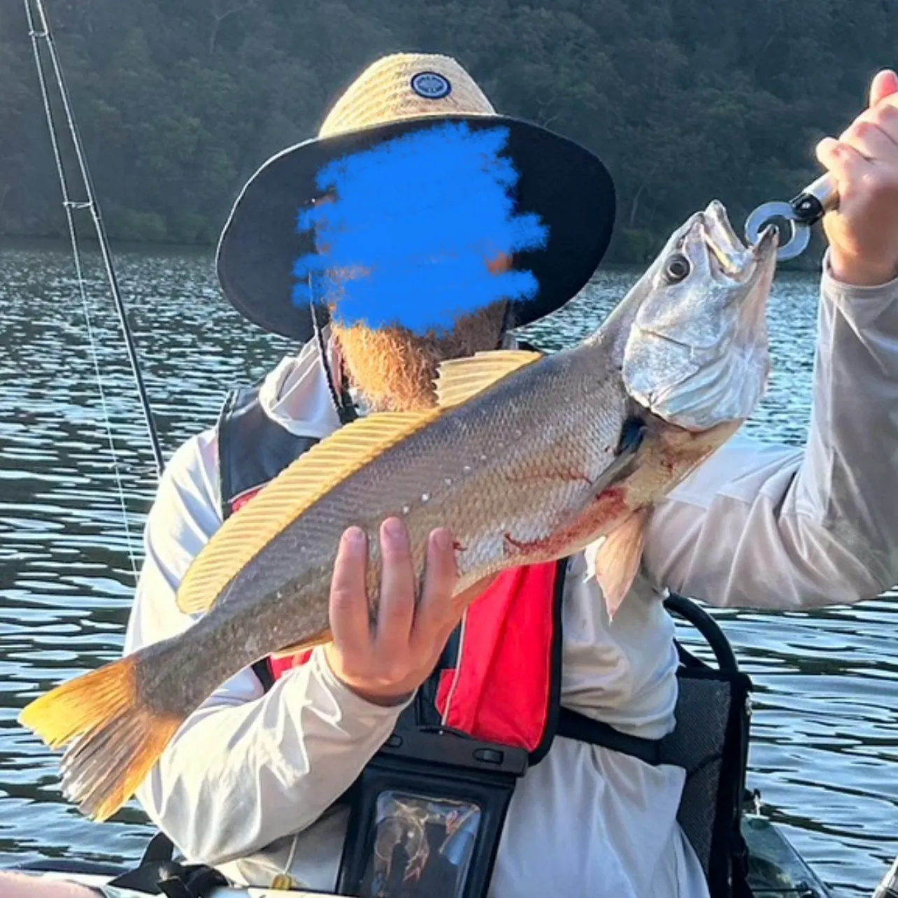 The most recent Japanese meagre catches on Fishbrain