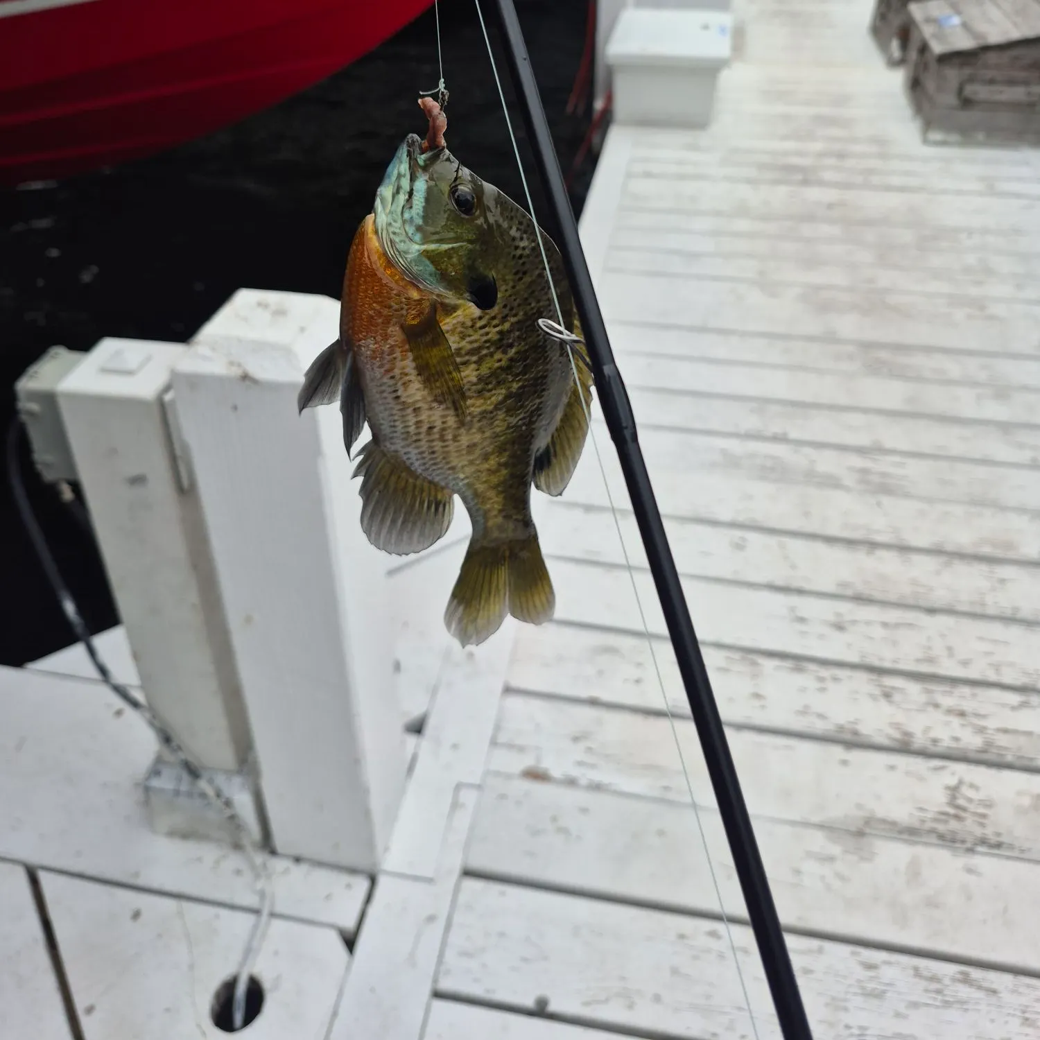 catch