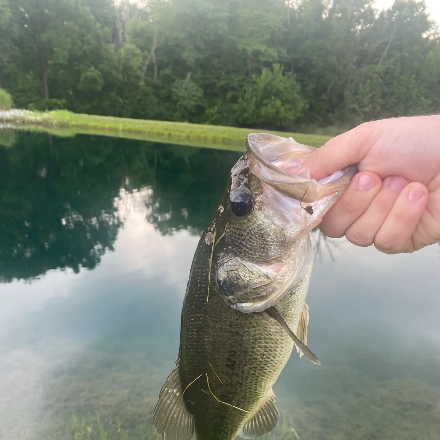 angler catch