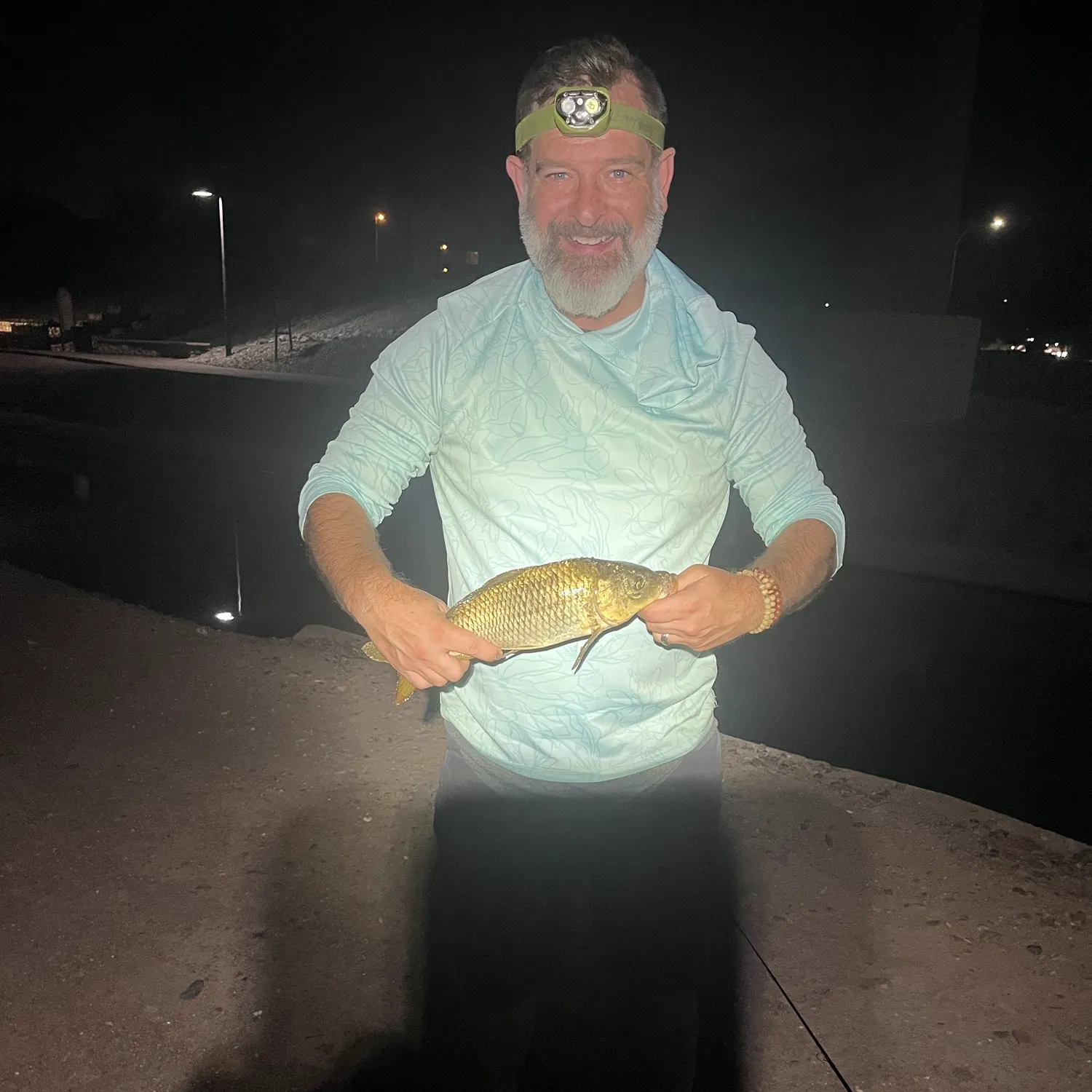 Common carp caught on Fishbrain