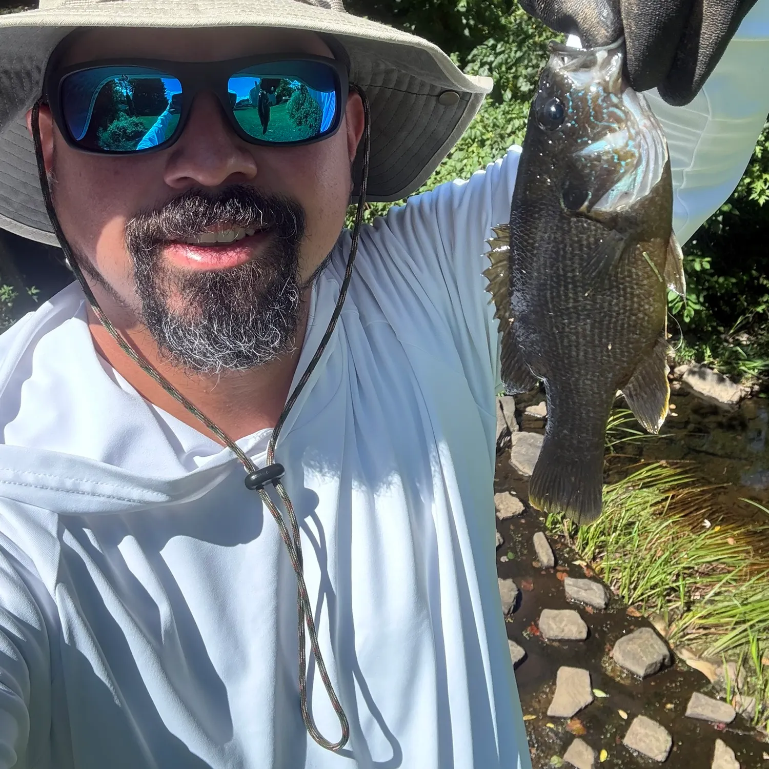 Green sunfish caught on Fishbrain