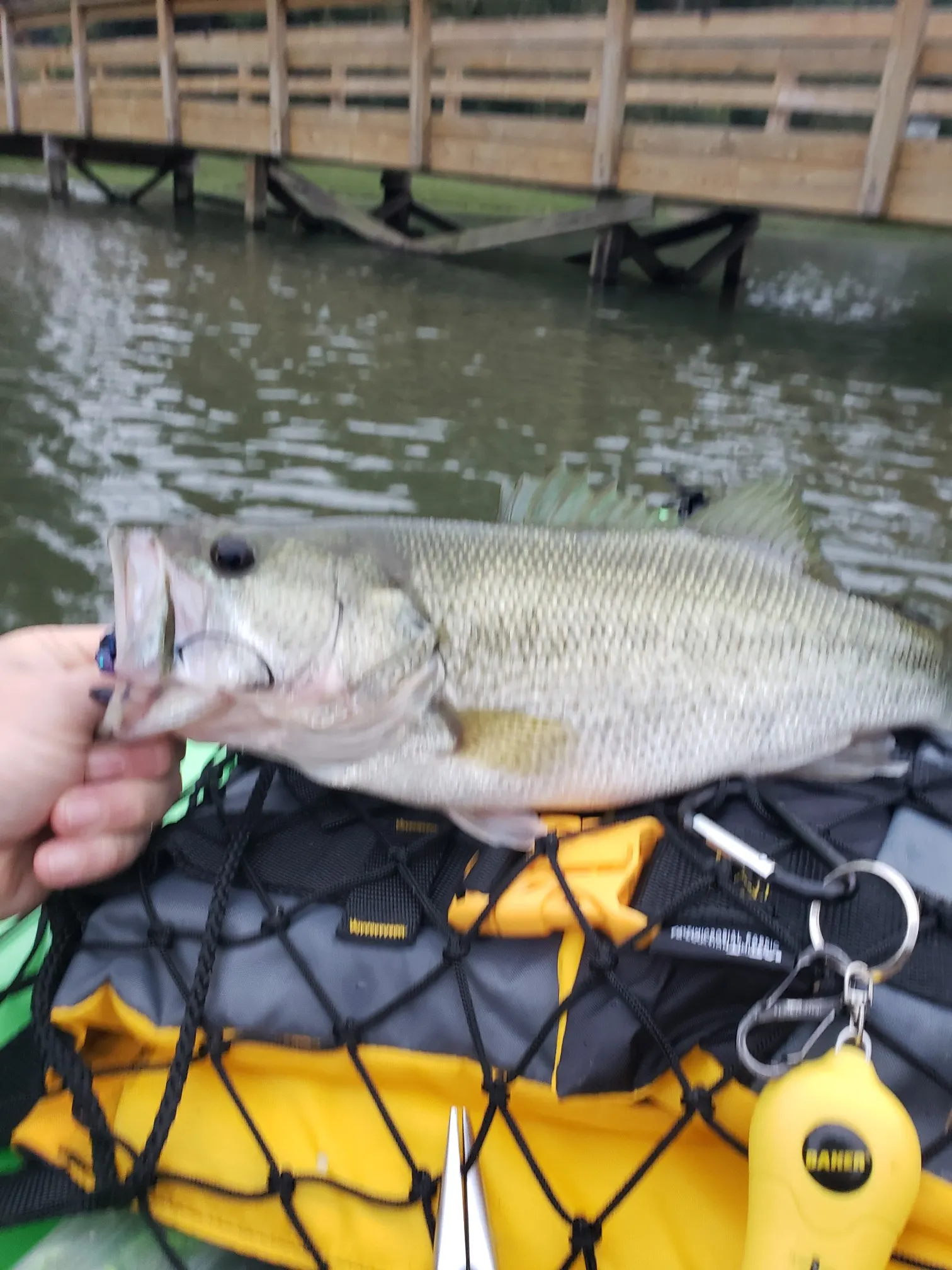 Post image from jramey9966