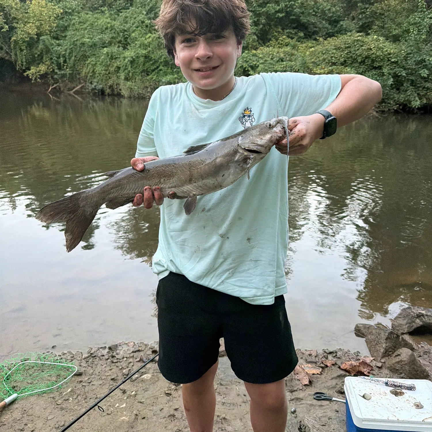 Channel catfish caught on Fishbrain