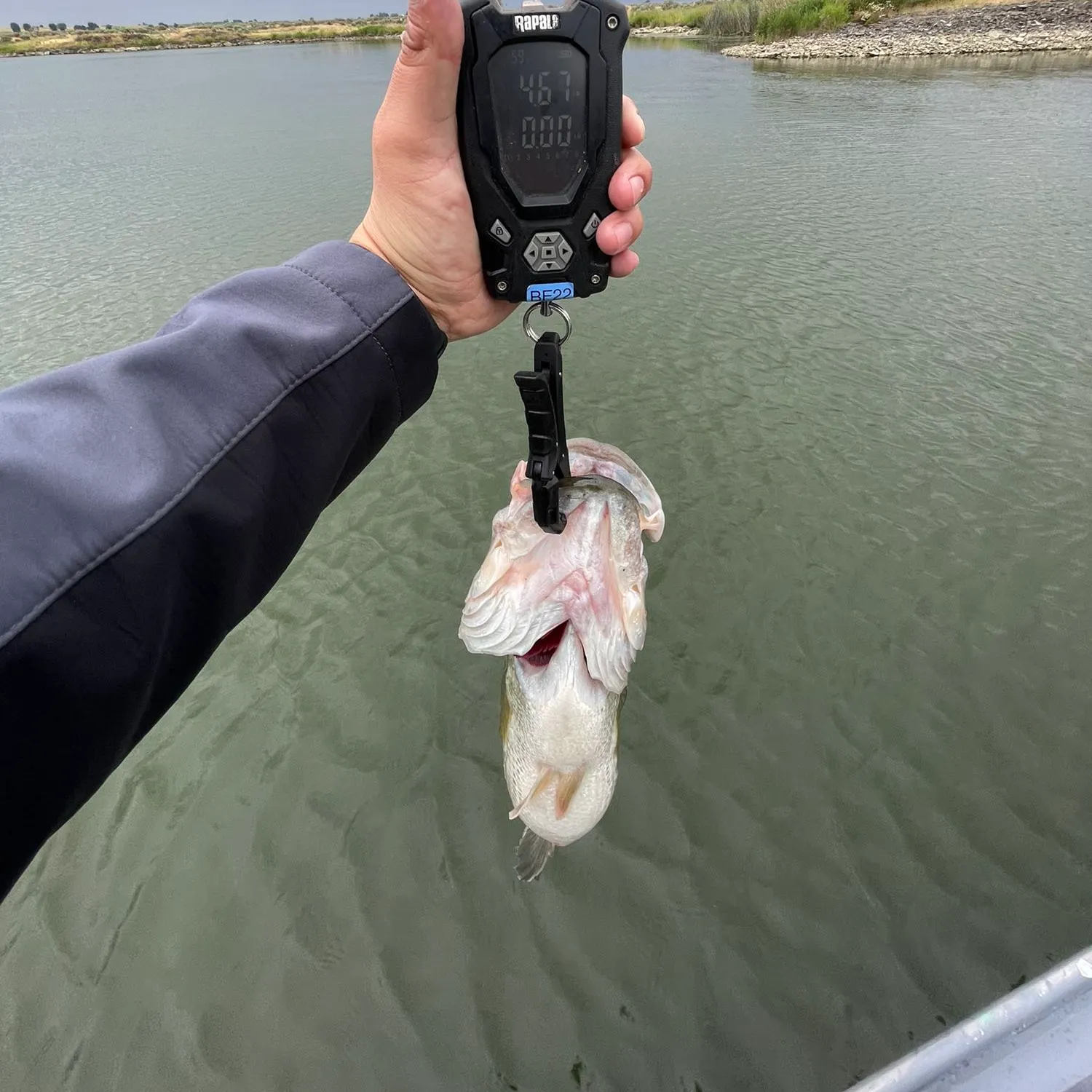 angler catch