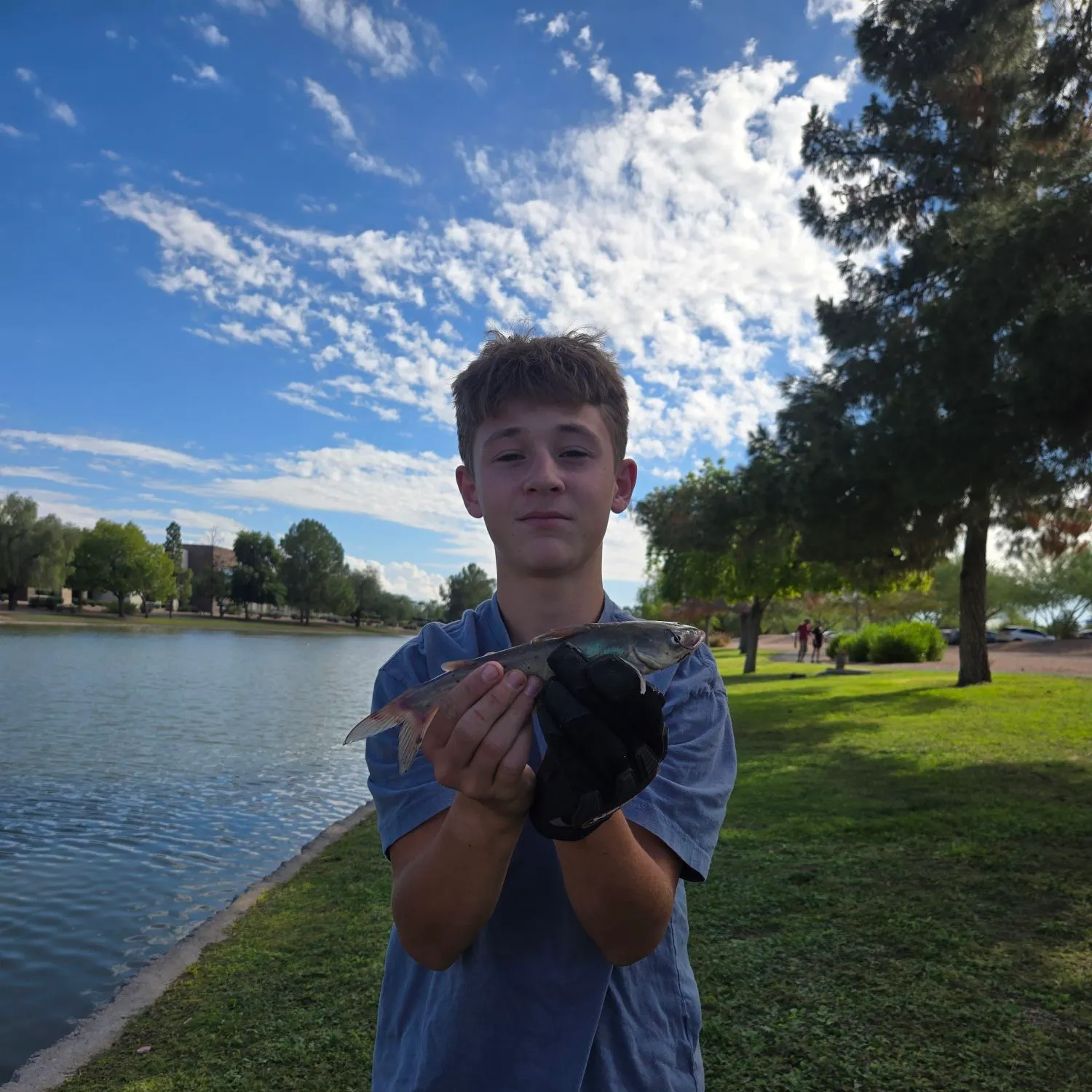 catch