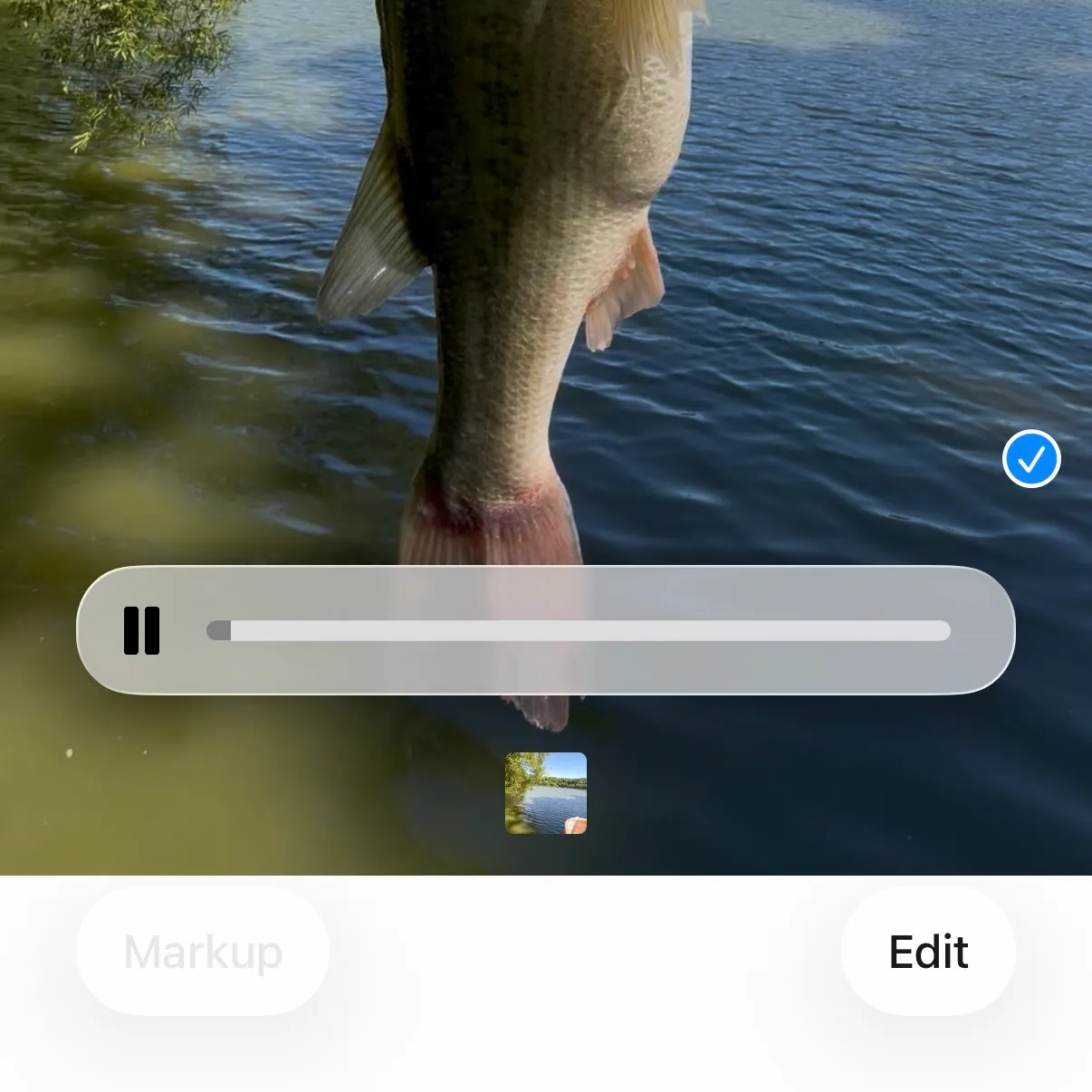recently logged catches
