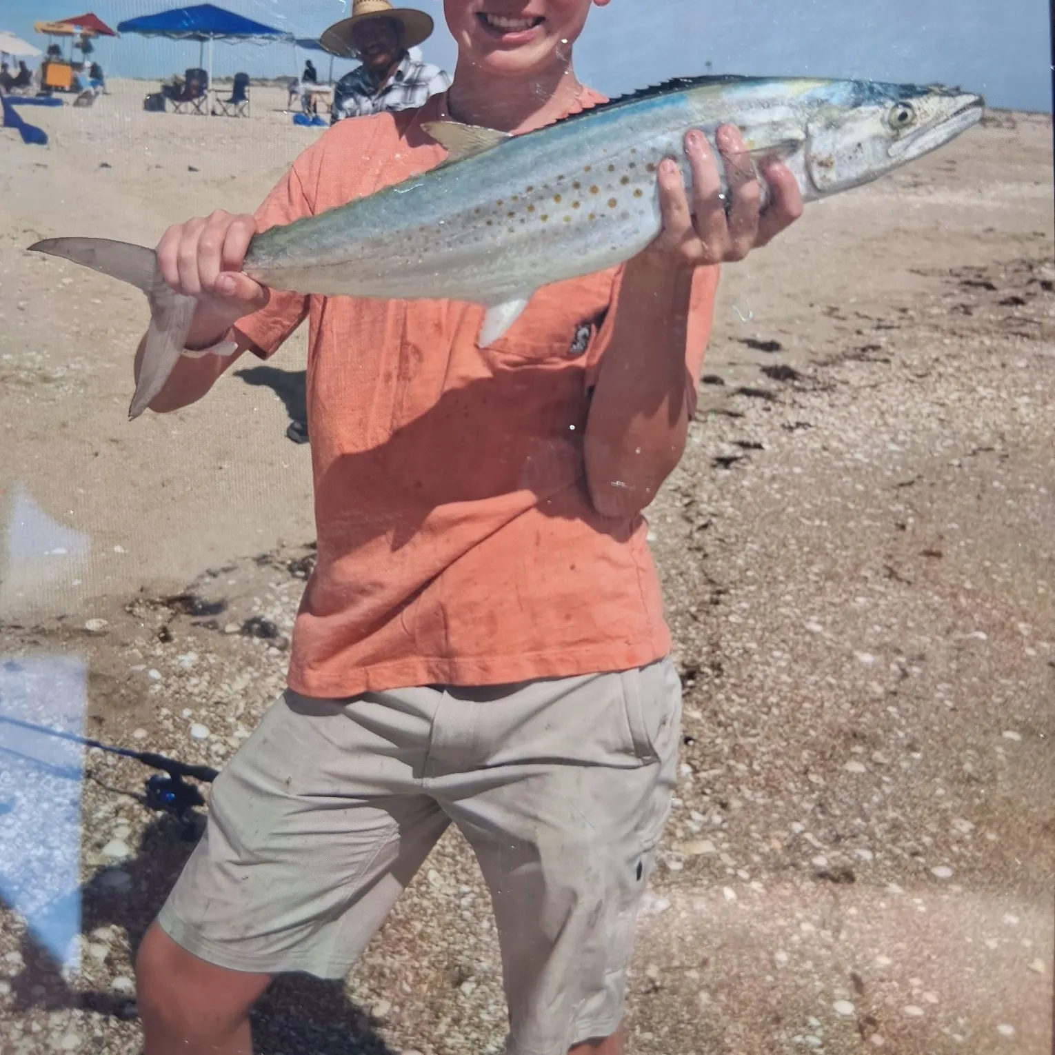 The most recent Cero mackerel catches on Fishbrain