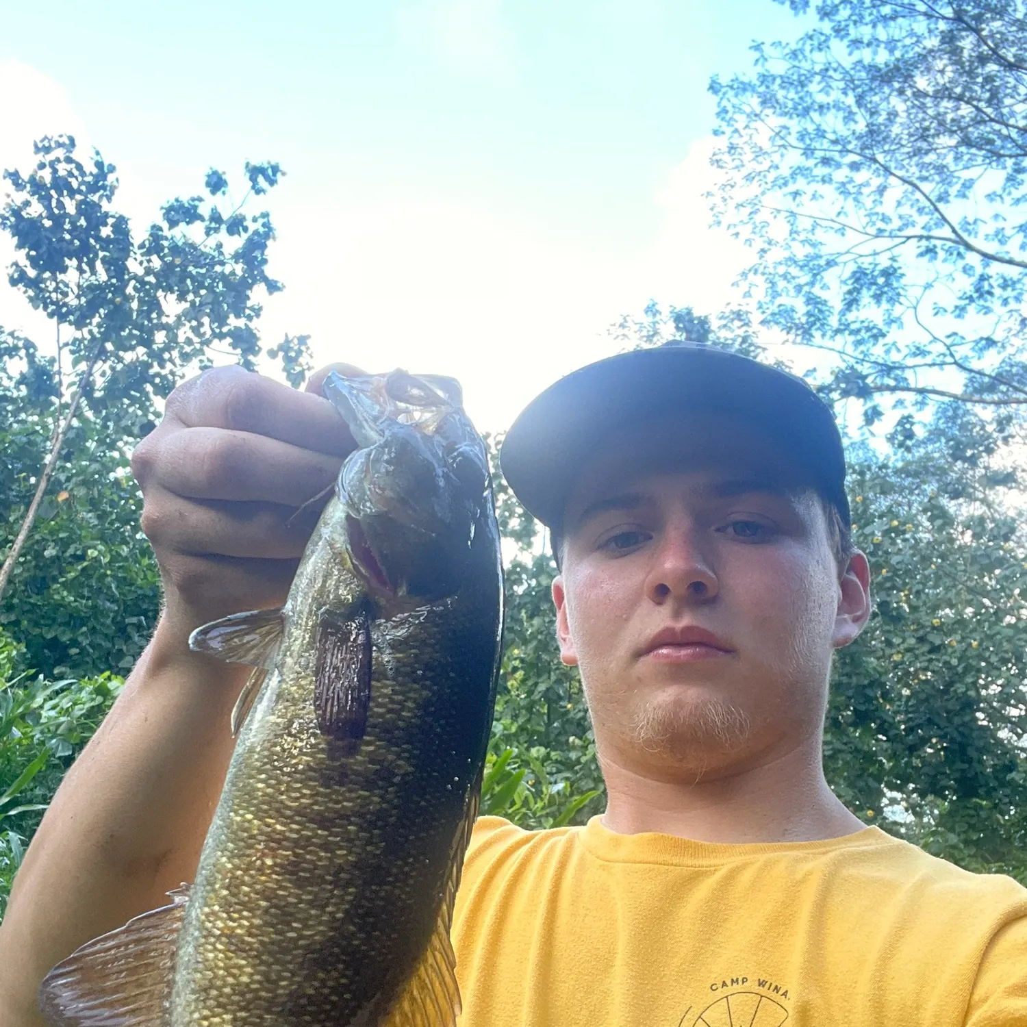 most liked catch image