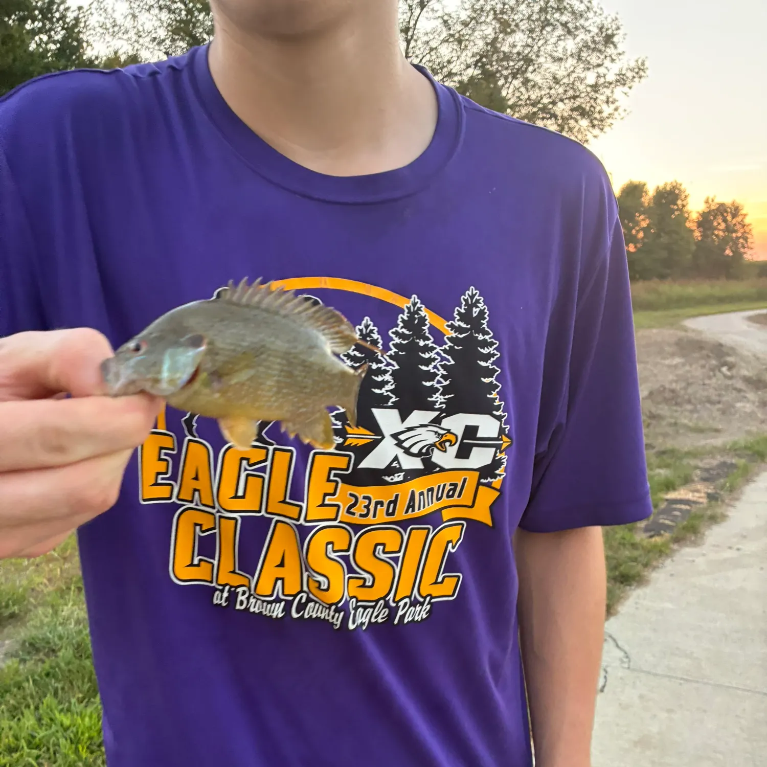 Green sunfish caught on Fishbrain
