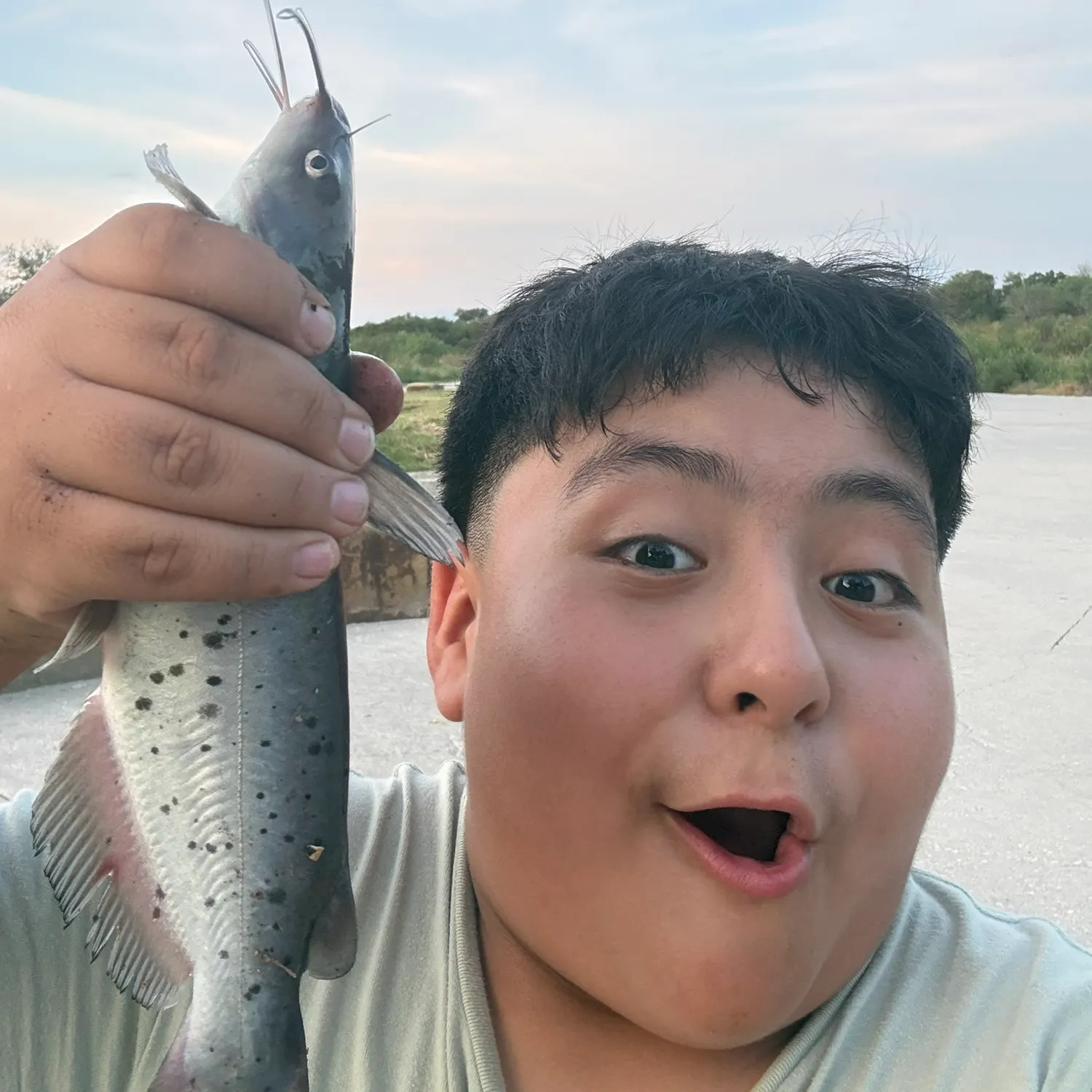 Channel catfish caught on Fishbrain