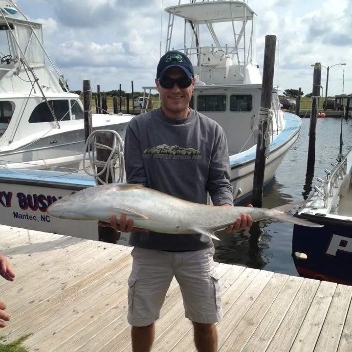 The most recent Lesser amberjack catches on Fishbrain