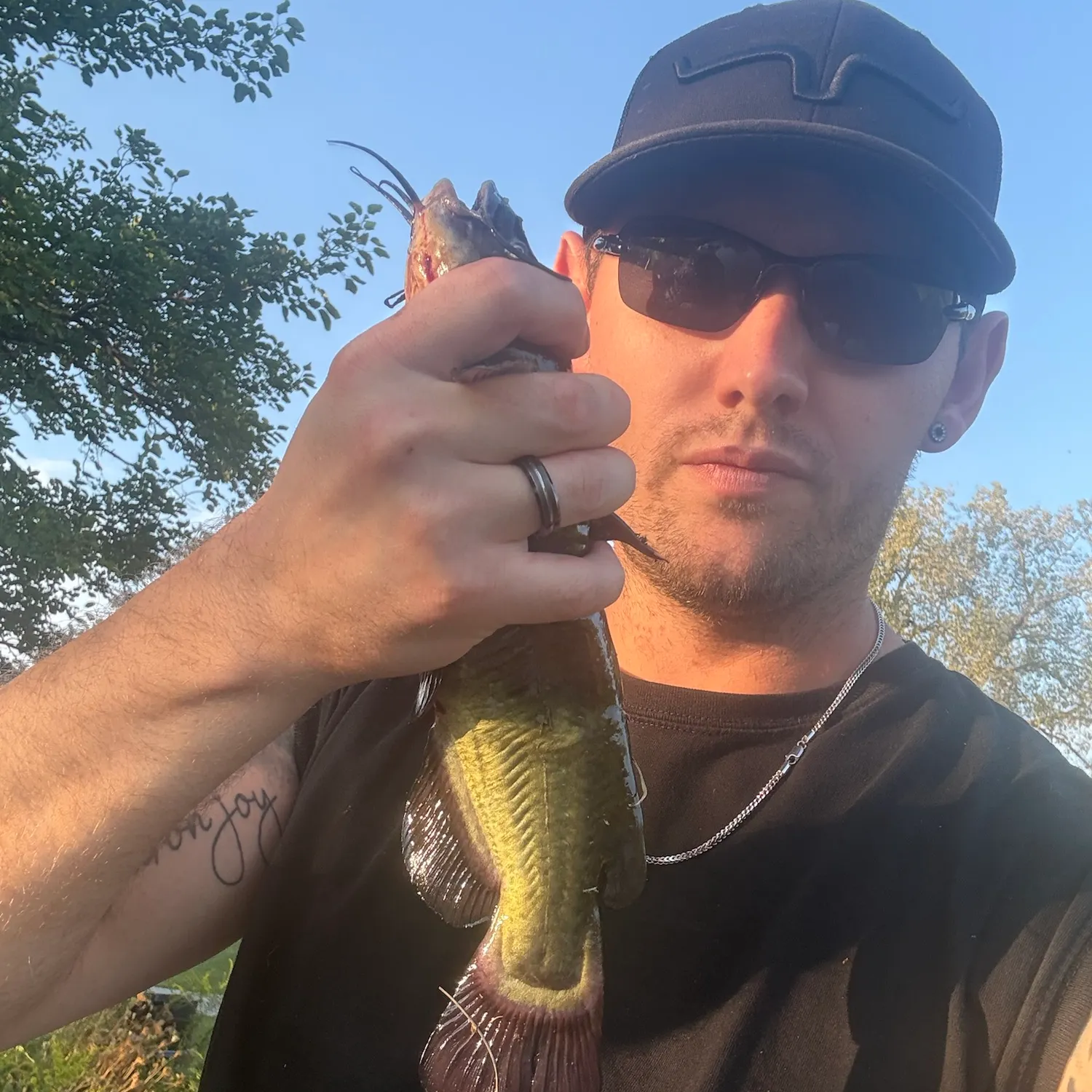 Black bullhead caught on Fishbrain